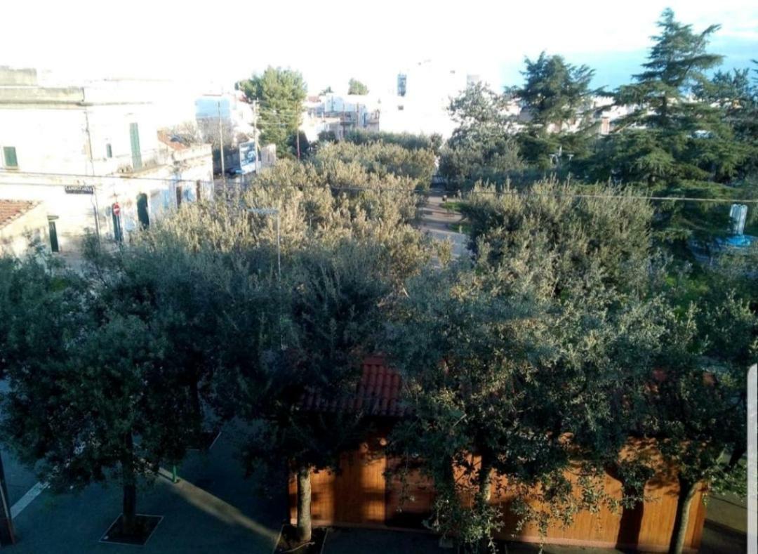 "La Casa Di Mariagrazia" Rooms Con Cucina Condivisa E Terrazza Sammichele Di Bari Kültér fotó